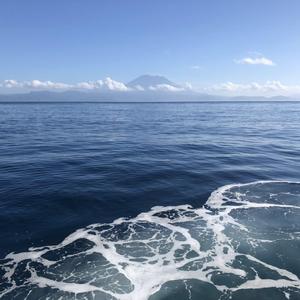 遇见你我从没那么欣喜过