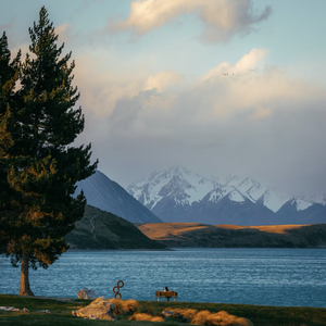 与爱人永结同心
