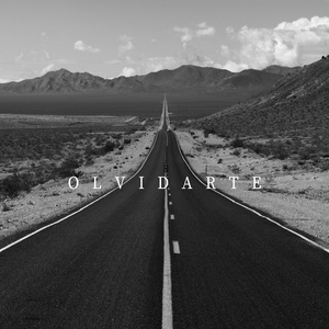 olvidarte (Demo)