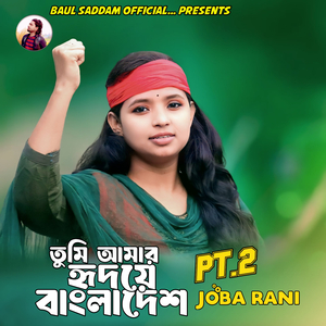 তুমি আমার হৃদয়ে বাংলাদেশ Pt . 2