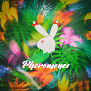 Pheromones