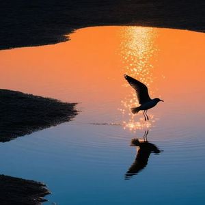 泛黄的照片 伴奏