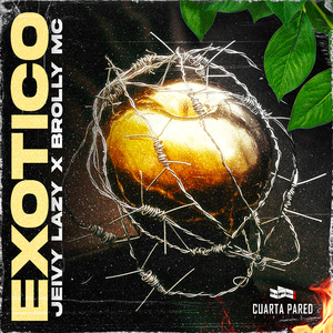 Exotico