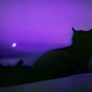 I Think I Need Some Sleep