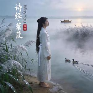 诗经·蒹葭