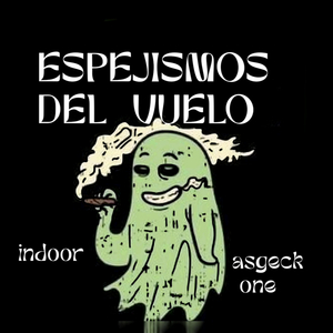 ESPEJISMOS DEL VUELO
