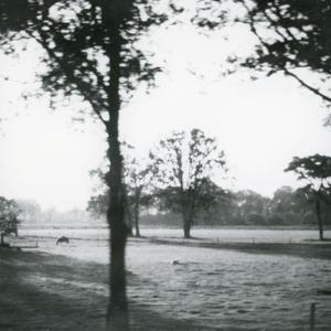 Shalosh: Finale, 26 novembre, niframnu, S 327