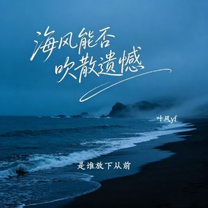 海风能否吹散遗憾（是谁放下从前）