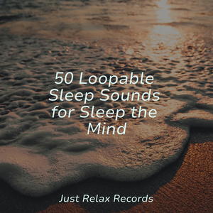 Echoes of Wild Melodies