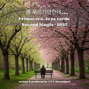 봄 알레르기 (Spring Allergy)