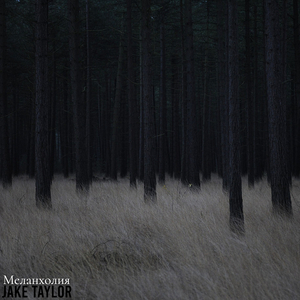 Меланхолия