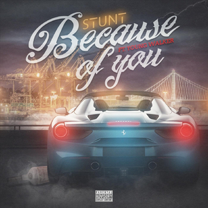 Because of You (feat. Young Walker)