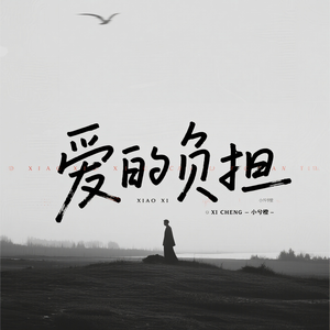 爱的负担