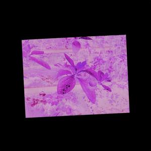 firewind (feat. Melika)