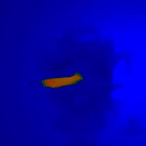 System Rigged (WSFM PFM 369 SPL Dreamy Techno House Gain Over Unity Bass Monster Einstein Rosen Bridge Zero Point Free Energy Scalar Serbian Tesla Beaver Pants Dub Mix)