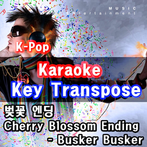 벚꽃 엔딩 (Karaoke)