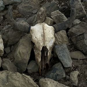 为何（PROD BY Red killer）