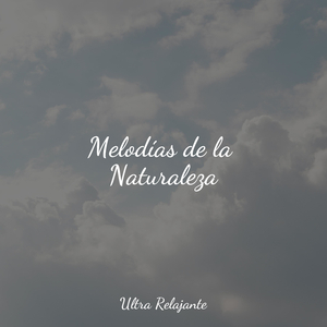 Conduciendo