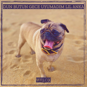 Dun Butun Gece Uyumadim Lil Anka