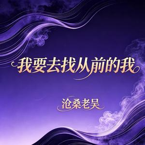 我要去找从前的我(DJ版)