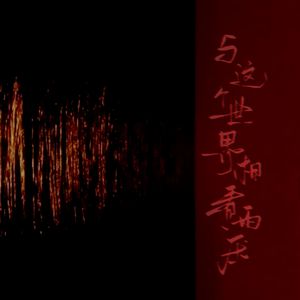 与这个世界相看两厌了