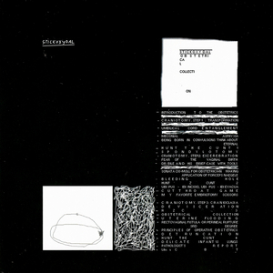 Caraniotomy Step 2: Excerebration