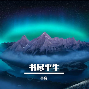 书尽平生
