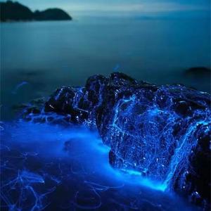 期待每天醒来都想有你