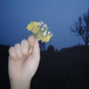 夜.mp3