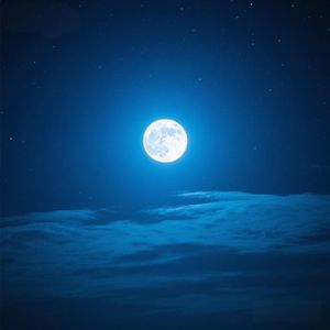 明月映影随云回