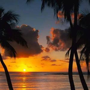 遇见她如春水映梨花（DJ版）