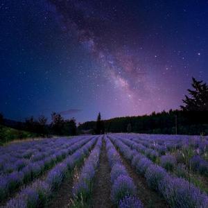 Blue (feat. David Merchan)