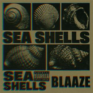 Sea Shells