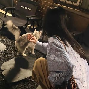 归去来兮_温柔.