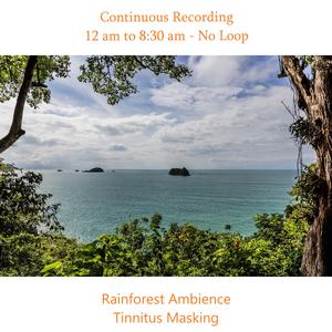 Continuous Rainforest Ambience Part 46