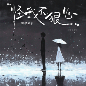 怪我不狠心 (快摇版)