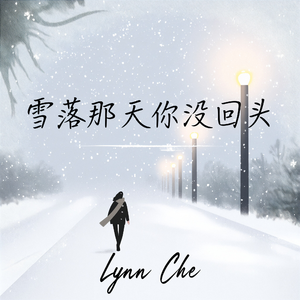 雪落那天你没回头