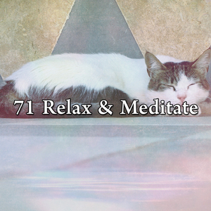 Highlighting the Sleep