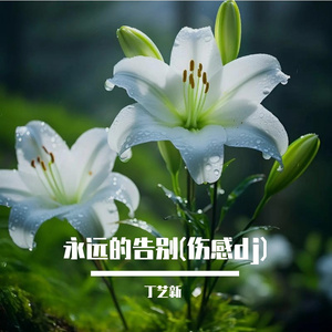永远的告别(伤感dj)