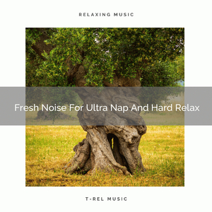 Fresh Noise For Ultra Nap And Heavy Duties