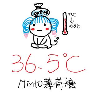36.5℃
