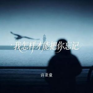 我怎样才能把你忘记