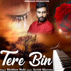 Tere Bin