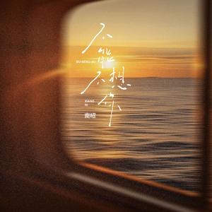 不能不想你 (DJ范小松版)