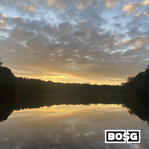 From Harlem 2 San Juan