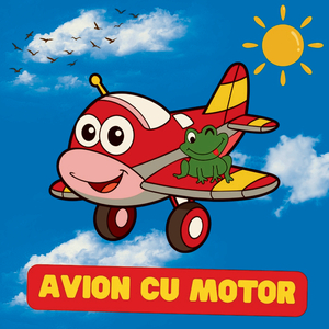 Avion cu motor