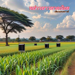 หย่าวขาวขวดน้อย