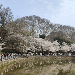 再回二里头(男声版）