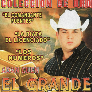 Despeinada