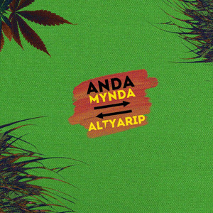 Anda Mynda